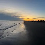 Bibione Landora Nummer 141